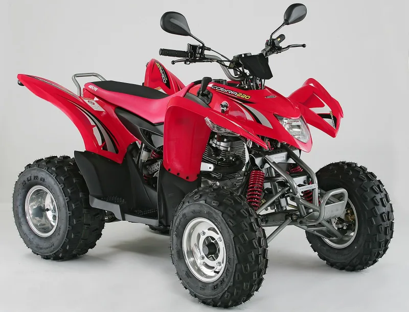 Aeon Cobra 220 2008 Image: 2 Aeon Cobra 220 2008 74791