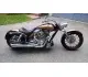 Arlen Ness Lowliner 2013