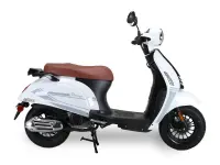 Ascend Bella 50 2025