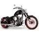 BMC Choppers Hooligan 541 2009