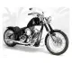BMC Choppers Hooligan 541 2010