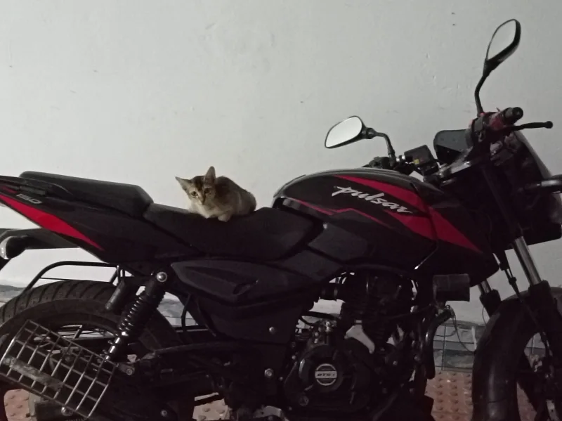 2026 Bajaj Pulsar 150