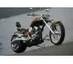 Big Bear Choppers Sled 100 EFI Evolution 2009 12436 Thumb