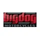 Big Dog