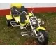 Boom Trikes Muscle Family 2011 21749 Thumb