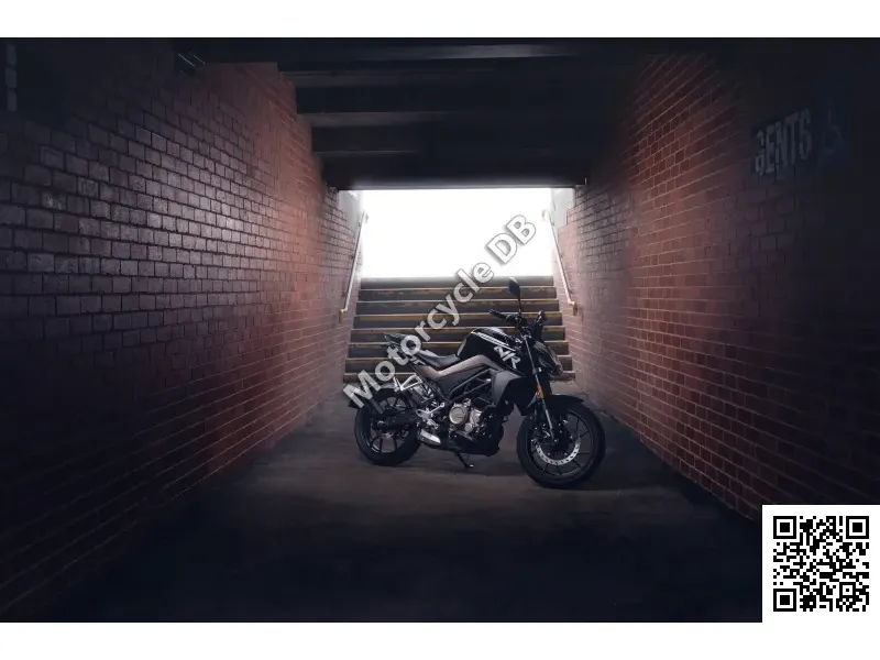 CF Moto 300NK 2020 Image: 3 CF Moto 300NK 2020 35812