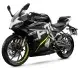 CF Moto 300SR 2022 35820 Thumb