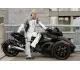 Can-Am Spyder Roadster SM5 2009 3438 Thumb