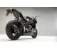 Erik Buell Racing 1125R DSB 2011