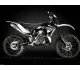 GAS GAS EC 125 2T 2010 18476 Thumb