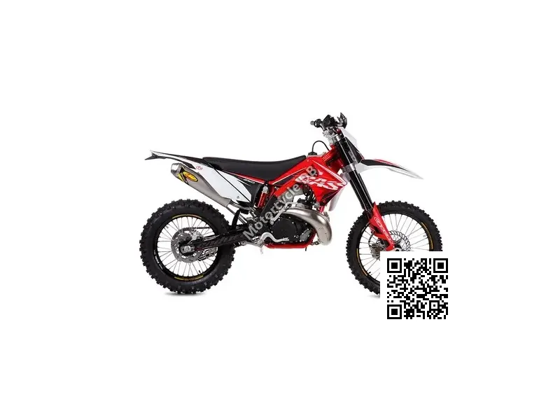 GAS GAS EC 250 2T E 2011 Image: 1 GAS GAS EC 250 2T E 2011 19986