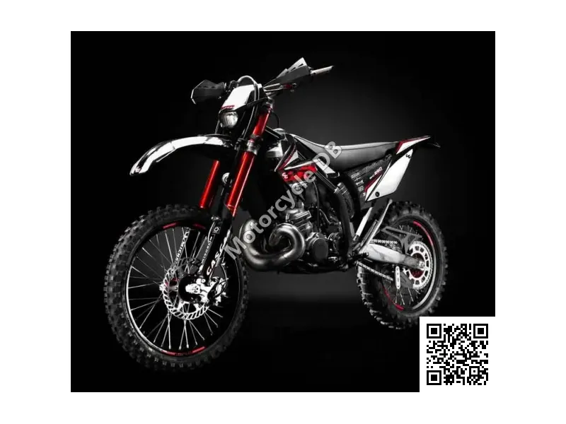 GAS GAS EC 250 2T Racing 2010 Image: 1 GAS GAS EC 250 2T Racing 2010 20818