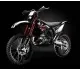 GAS GAS EC 250 2T Racing 2010 20818 Thumb