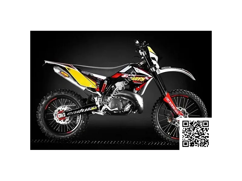2010 GAS GAS EC 250 2T Six-Days