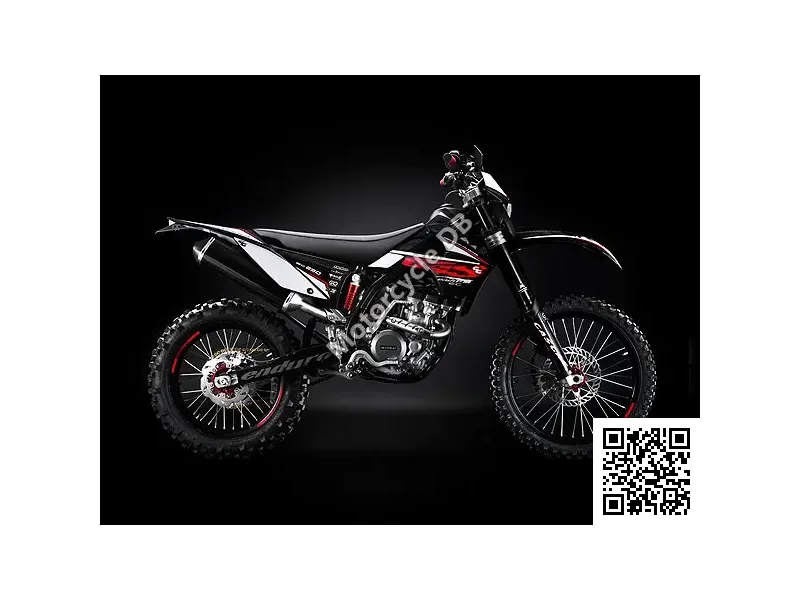 GAS GAS EC 250 4T 2010 Image: 1 GAS GAS EC 250 4T 2010 12571