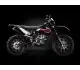 GAS GAS EC 250 4T 2010 12571 Thumb