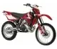 GAS GAS EC 250 Racing 2009 77071 Thumb