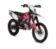 GAS GAS EC 250 Racing 2011 13901 Thumb