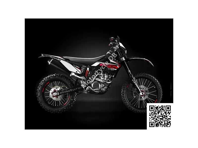 GAS GAS EC 250 Six-Days 2009 Image: 1 GAS GAS EC 250 Six-Days 2009 20850