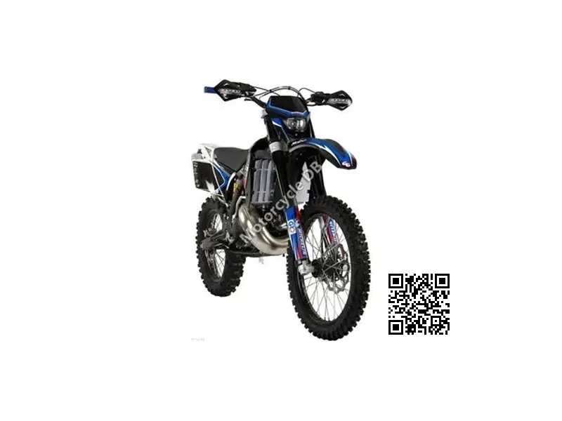 GAS GAS EC 300 2010 Image: 1 GAS GAS EC 300 2010 77083