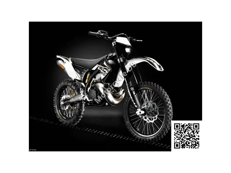 GAS GAS EC 300 2T E 2011 Image: 1 GAS GAS EC 300 2T E 2011 15714