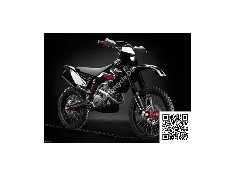 2010 GAS GAS EC 450 4T