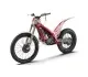 GAS GAS TXT Racing 250 2021 45923 Thumb