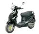 Genuine Scooter Pamplona 150 2009 17510 Thumb
