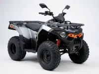 Goes Copper 20 2025