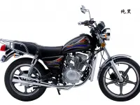 Haojue HJ 125-8 Star 2020 74617 Thumb