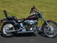 Harley-Davidson FXSTC 1340 Softail Custom 1991 74590 Thumb