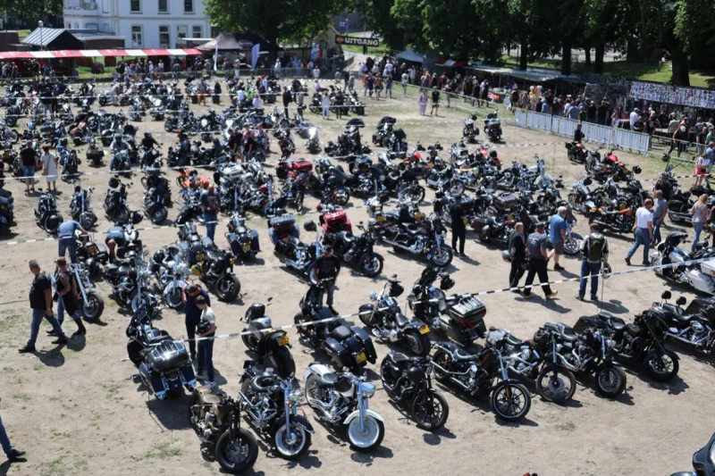 Harley-Davidson FXWG 1340 Wide Glide 1982 Image: 2 Harley-Davidson FXWG 1340 Wide Glide 1982 74634