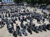 Harley-Davidson FXWG 1340 Wide Glide 1982 74634 Thumb