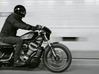 Harley-Davidson Nightster 2024 73102 Thumb