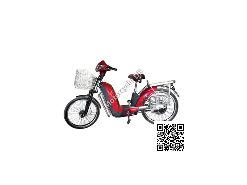 2011 Hero Electric Zippy