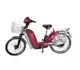 Hero Electric Zippy 2011 21710 Thumb