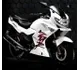 Hero Honda Karizma ZMR 2010 21124 Thumb