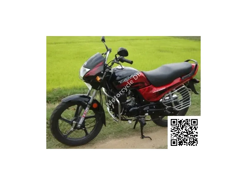 Hero Passion Plus 2009 21123