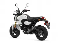 Honda Grom 2026 69689 Thumb