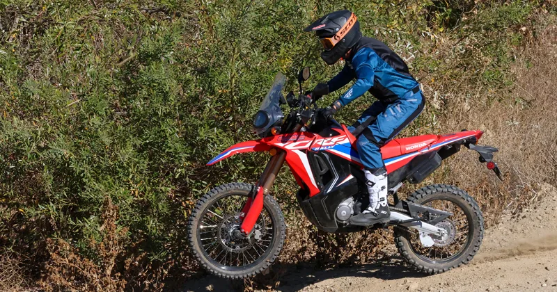 Honda BeAT Street 2024 Image: 2 Honda BeAT Street 2024 73178