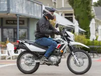 Honda CRF125F Big Wheel 2024 73192 Thumb