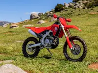 Honda CRF450X 2024 73203 Thumb