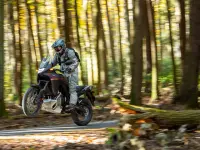 Honda XL750 Transalp 2024 73242 Thumb