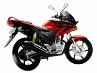 Honda Stunner Cbf Pmg 2025 60991 Thumb