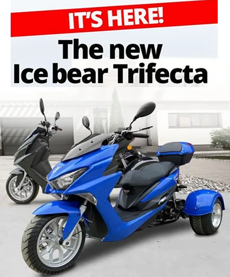 Ice Bear Trifecta 50 2026