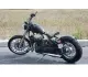Johnny Pag Raptor 300 2009 15498 Thumb