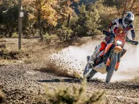 KTM 390 Enduro R 2026 71183 Thumb