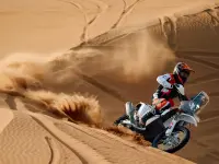 KTM 450 Rally Replica 2026 69762 Thumb