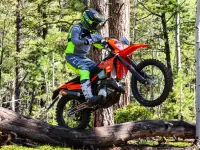 KTM 65 SX 2025 73562 Thumb