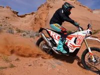 KTM 450 Rally Replica 2024 73601 Thumb